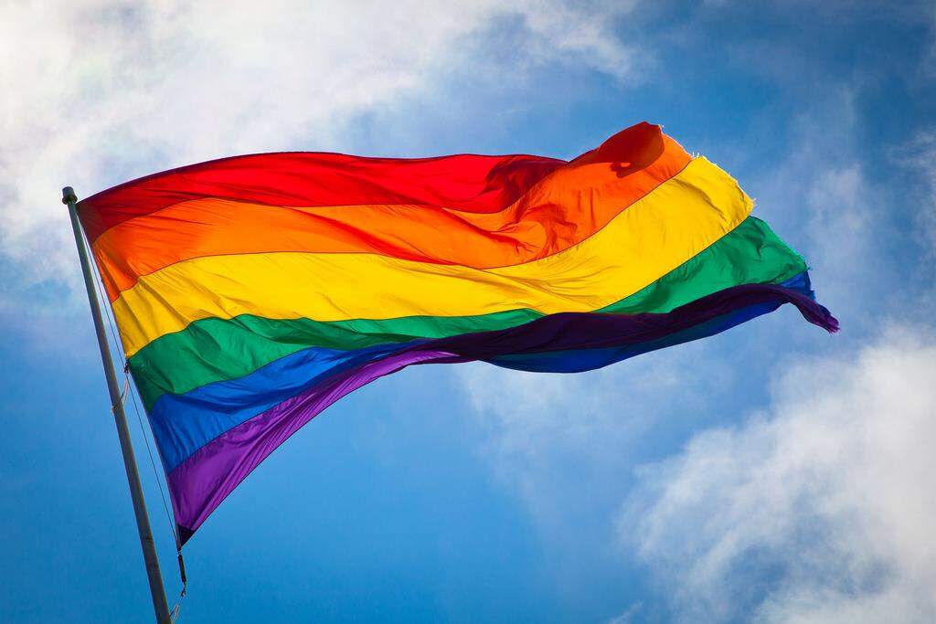 Orgulho LGBT e as muitas facetas do movimento - Politize!