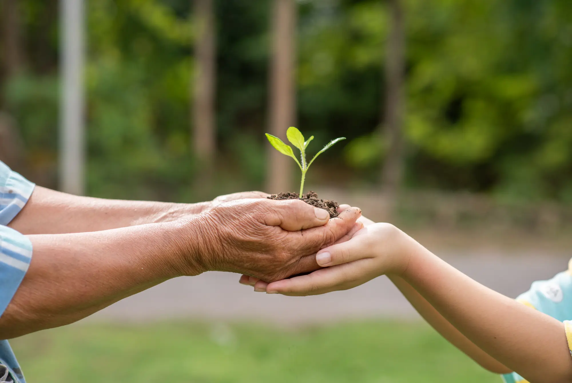 Duas pessoas segurando uma muda de planta. Texto sobre o mês do meio ambiente.