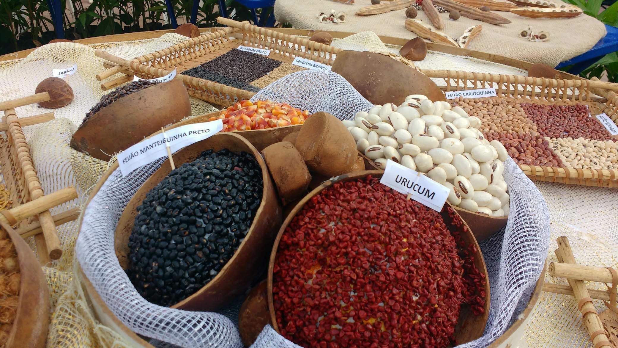 Na imagem, grãos a venda em feira de agriculta familiar.
