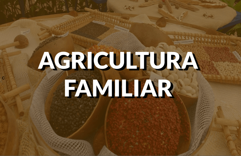 Destaque do conteúdo sobre agricultura familiar