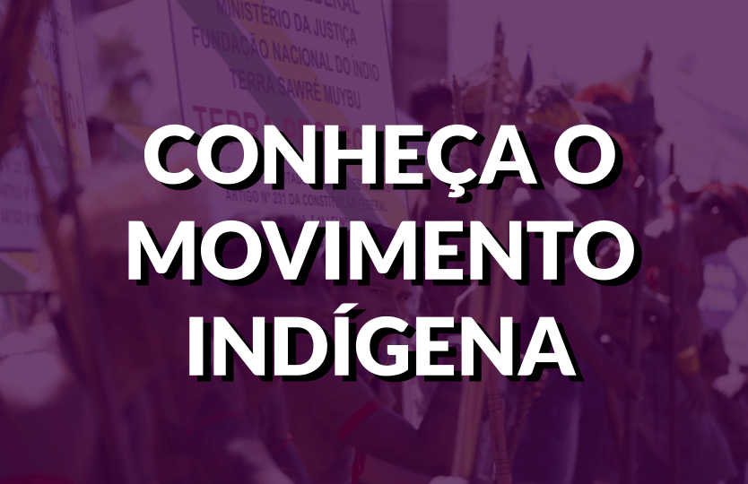 Movimento Indígena História E Principais Objetivos Politize