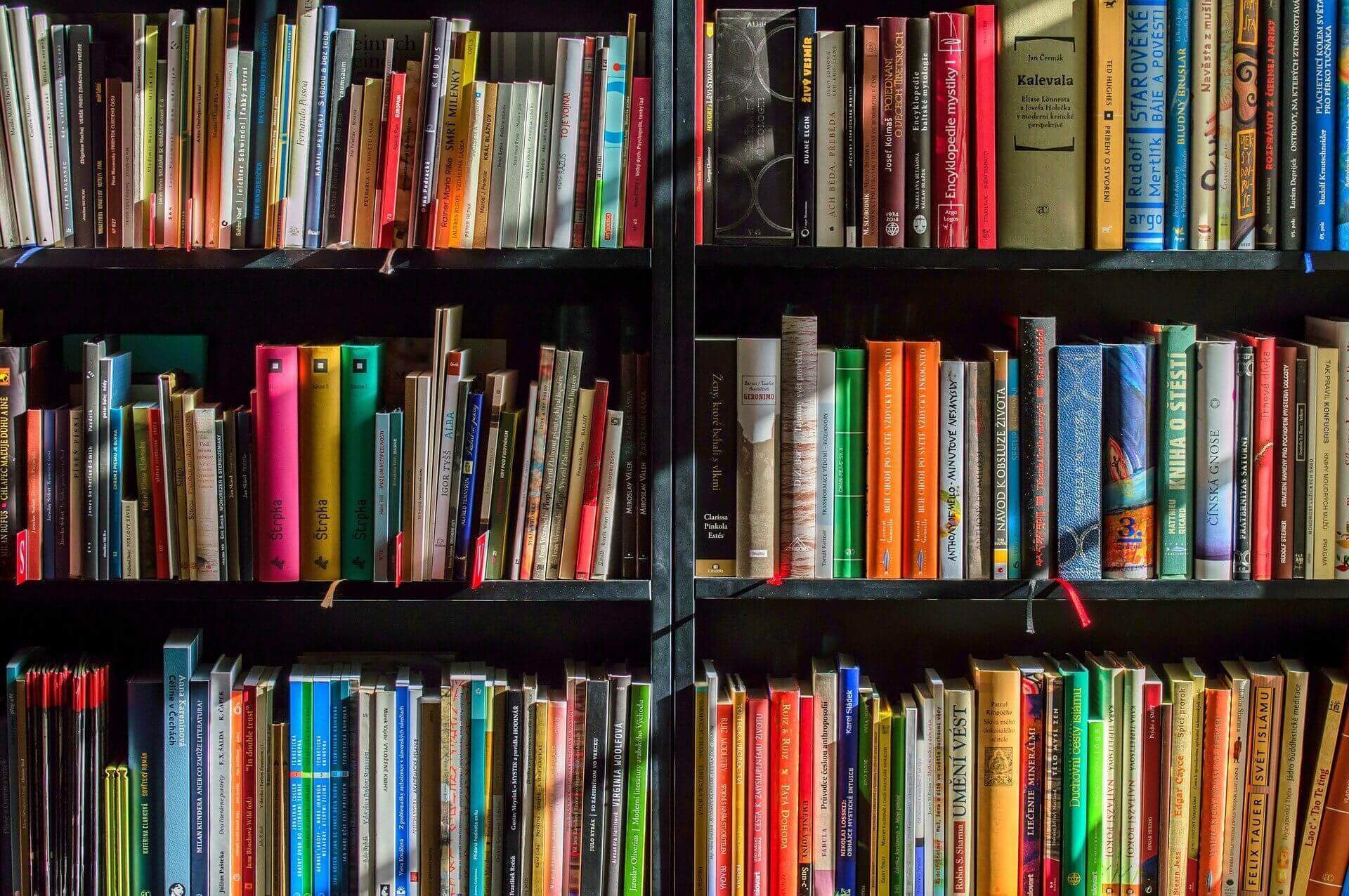 Livros na estante - Fonte: Pixabay