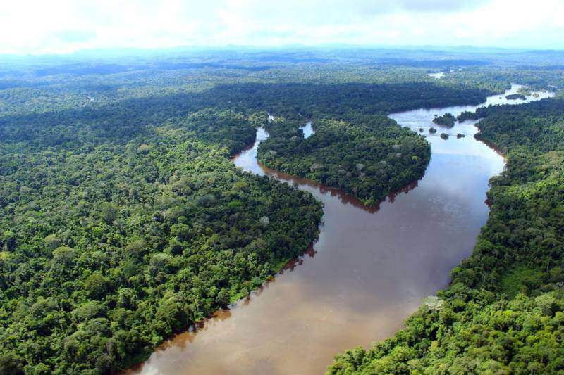 Foto área da Floresta Amazônia. Conteúdo sobre "Conselho da Amazônia e Força Nacional Ambiental: o que são"
