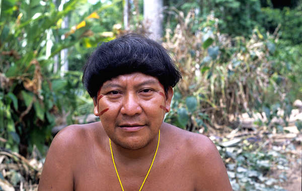 Xamã Yanomami, Davi Kopenawa. O garimpo ilegal está ameaçando a vida dos Yanomami.  Fiona Watson/Survival