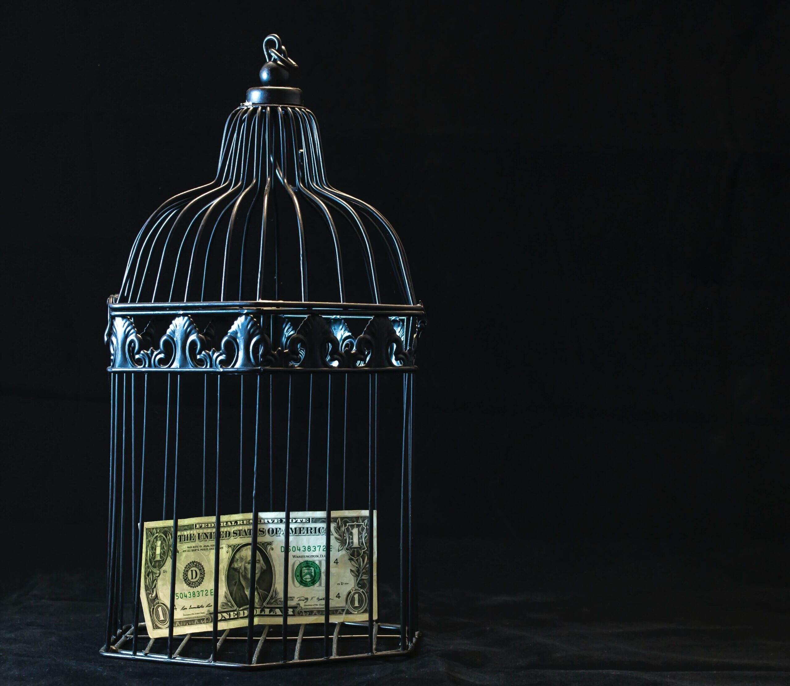 Dinheiro enjaulado representando multa. | Individualização das penas - Artigo Quinto