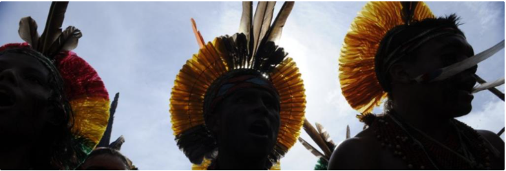 povos indígenas do Brasil