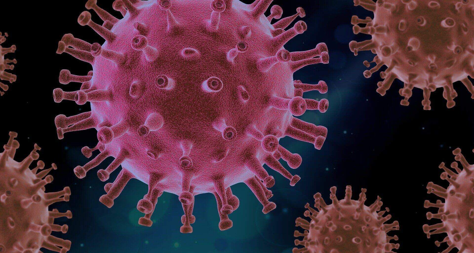 Na imagem, o novo coronavirus. Conteúdo "como surge um novo vírus"