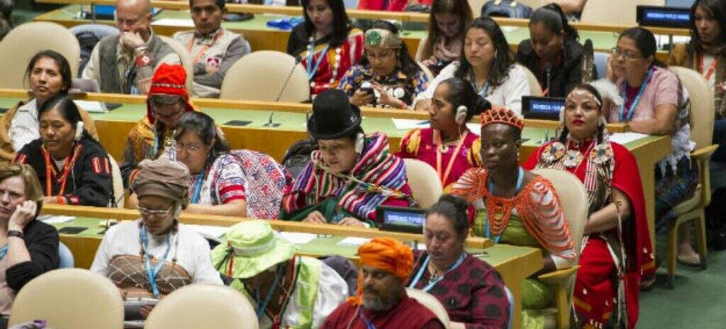 ONU Celebra 10 anos da Declaração sobre os Direitos dos povos Indígenas. Imagem: ONU/Rick Bajornas