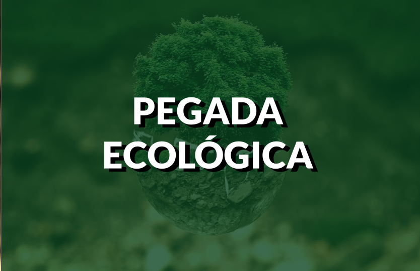 Proteção ambiental e pegada ecológica. Imagem: Pixabay.