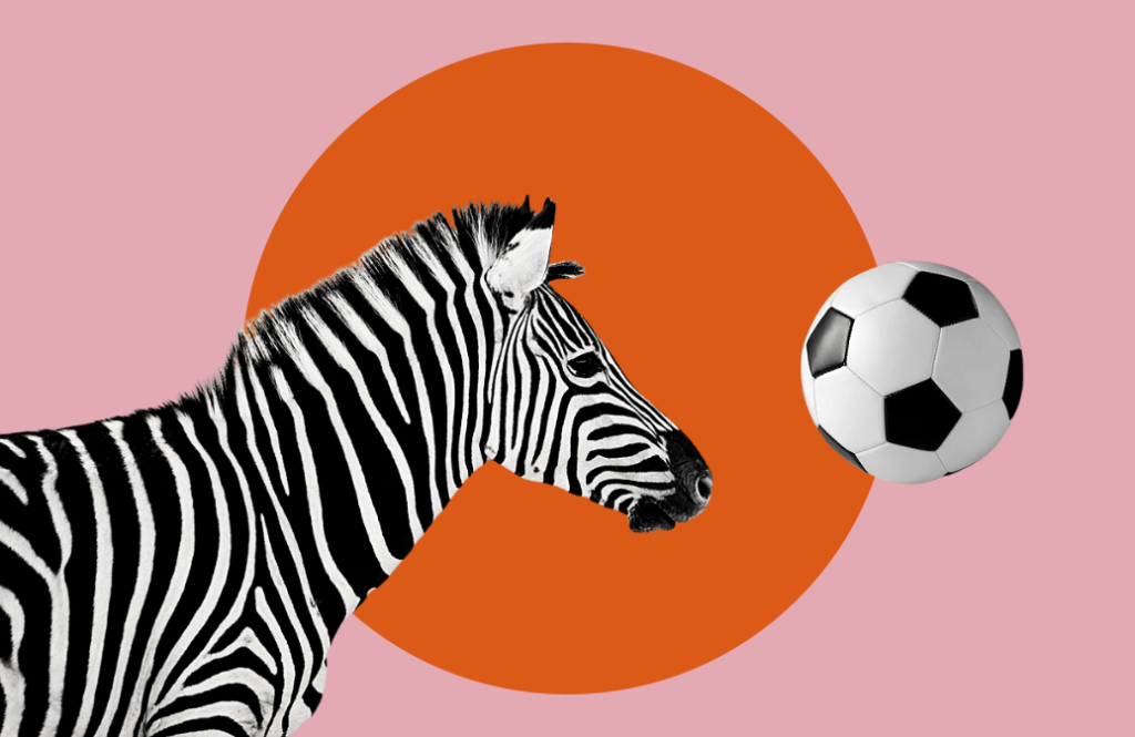 Copa do Mundo 2022: mais zebras, mais gols e novatos x veteranos