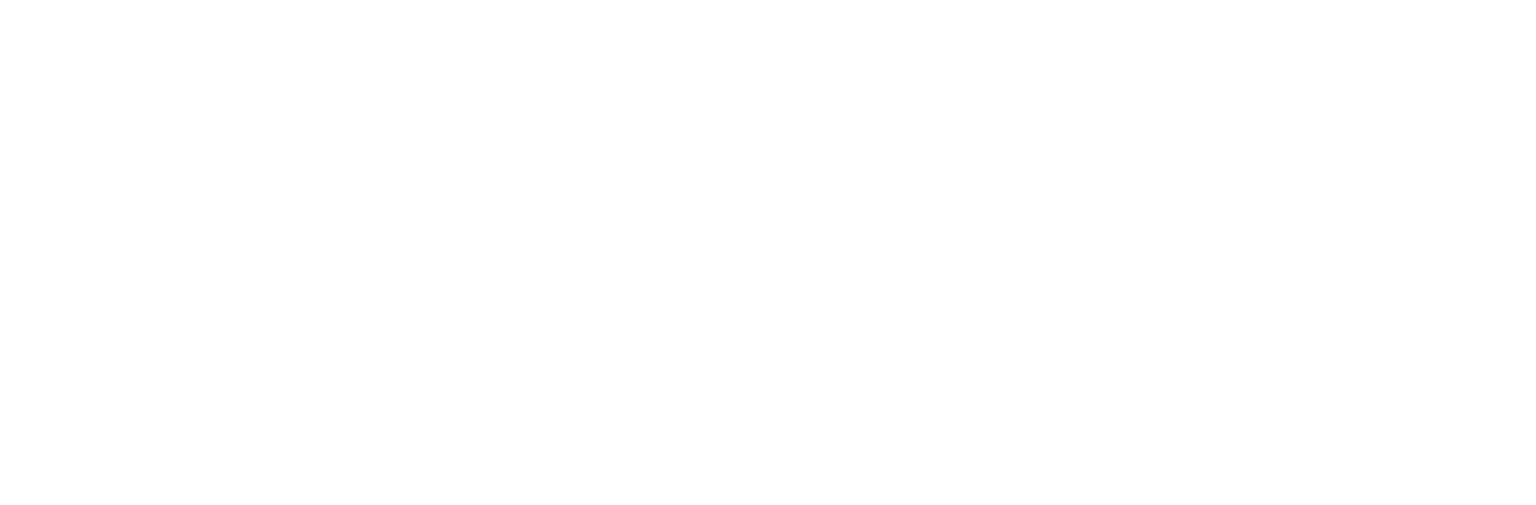 Civicus Logotipo Branco PNG (1) (1)