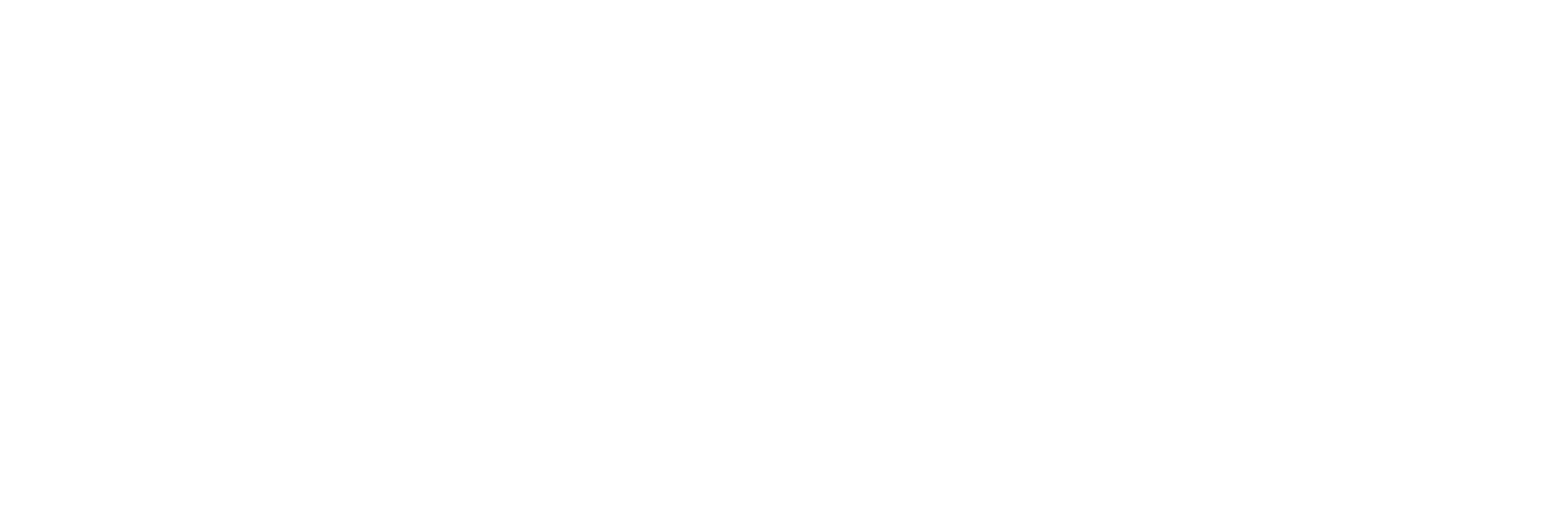 LOGO-RORAIMA.png
