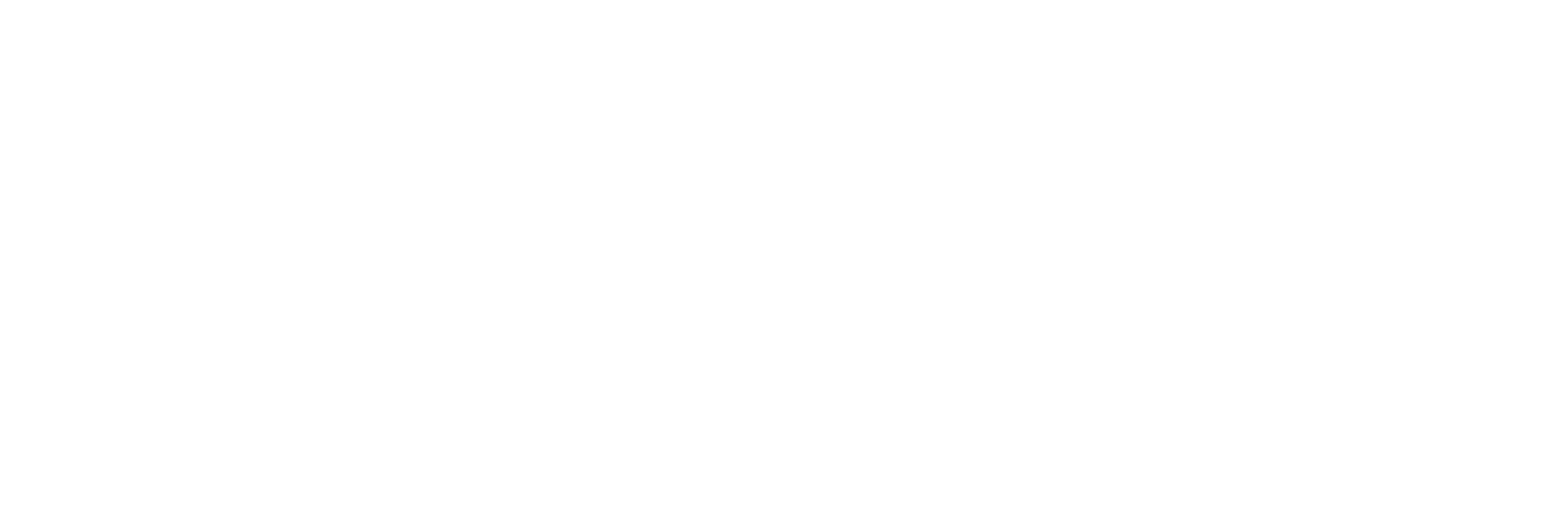 Logo-Leon-branca.png