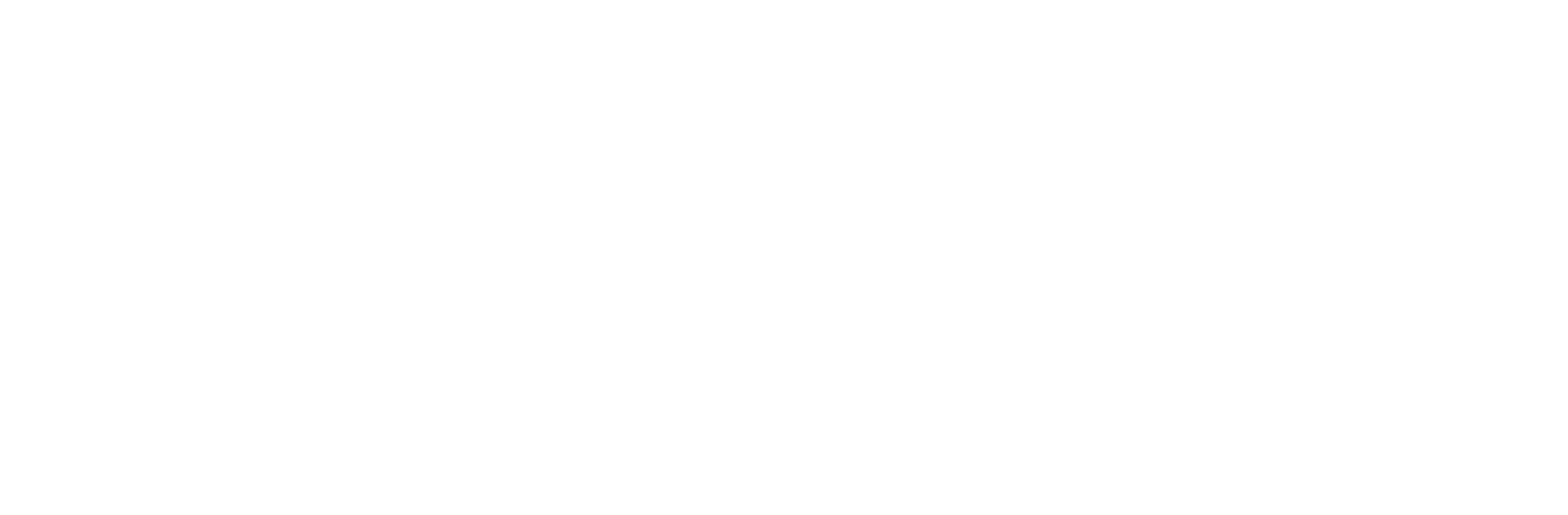 logo-sem-fundo