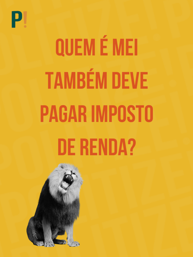 Quem é MEI também deve pagar Imposto de Renda?