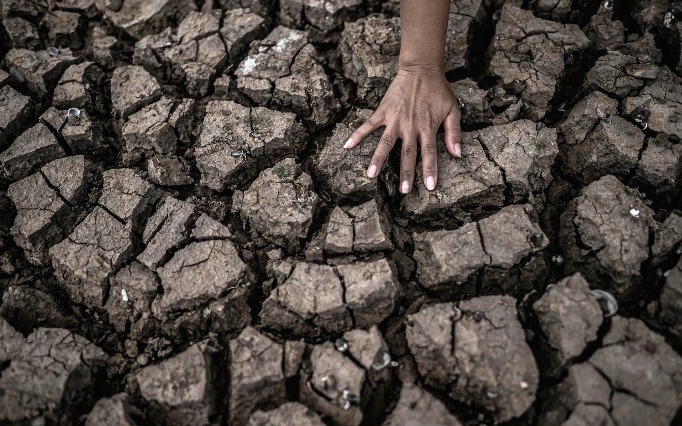 Imagem de uma mão tocando solo seco. Texto: El Niño: o que é, causas e consequências