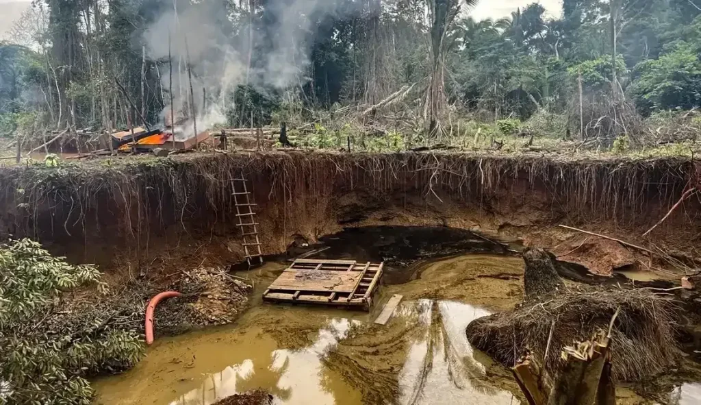 Imageem de uma cratera no chão da floresta amazônica, no Pará.
