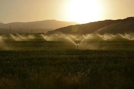 Imagem de um campo de irrigação Texto: Política Nacional de Recursos Hídricos: o que é e qual sua importância para o meio ambiente?
