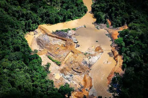 Estrada e Maquinário Ilegais na TI Yanomami na Amazônia