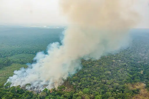 Imagem de floresta amazônica com muita fumaça, em sinal de fogo.