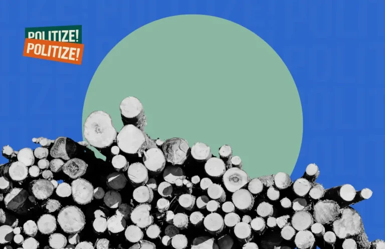 Imagem de troncos de árvores desmatados empilhados