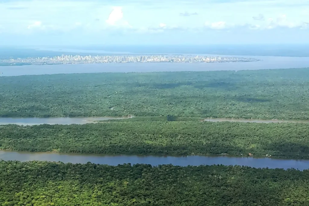 Texto: Engajamento climático em Belém: como a cidade se prepara para a COP30 e para o futuro da Amazônia. Floresta amazônica com a cidade de Belém ao fundo e um rio os separando.