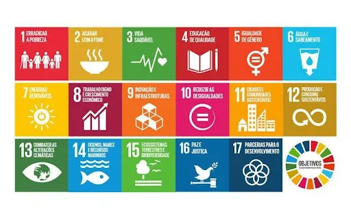 Os 17 Objetivos de Desenvolvimento Sustentável. Agenda 2030