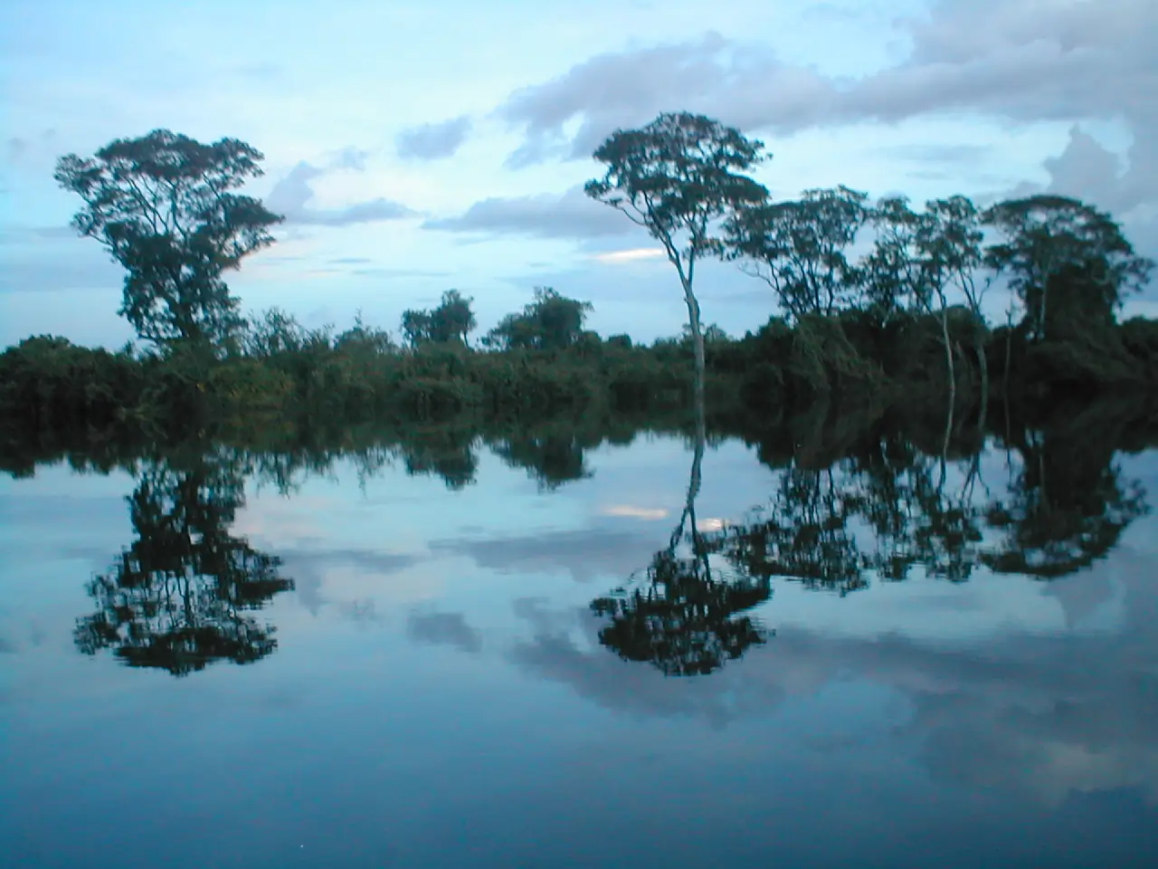 Texto: Saiba tudo sobre o Banco Interamericano de Desenvolvimento