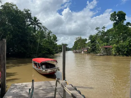 Texto: Movimentos sociais e ativistas da Amazônia urbana: o que você ainda precisa saber?