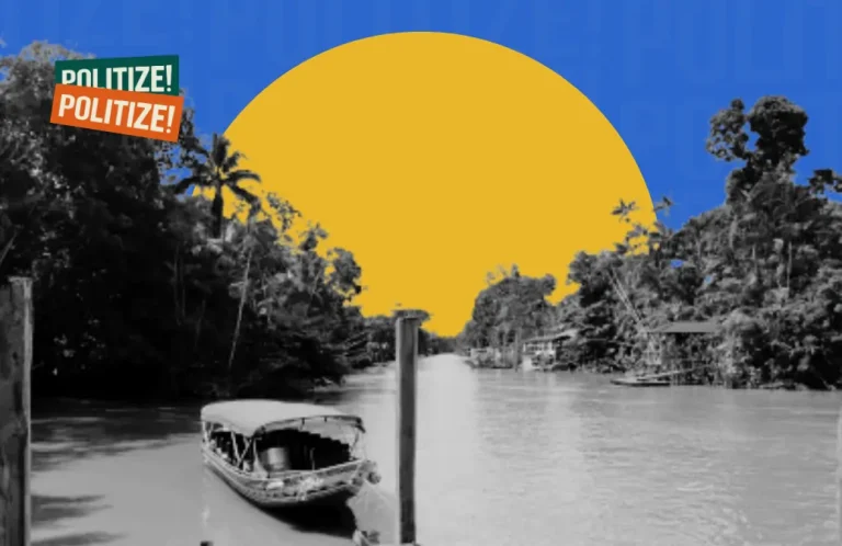 imagem de floresta amazônica